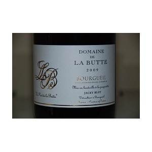 Domaine de la Butte, Borgueil, Le Pied de la Butte