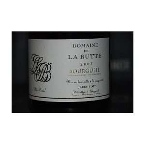 Domaine de la Butte, Borgueil, Mi-Pente