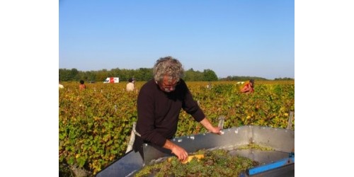 Domaine de la Taille aux Loups