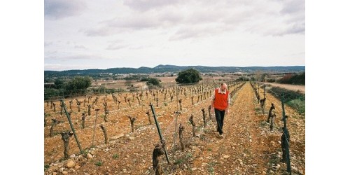 Domaine La Terrasse d'Elise