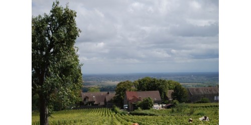 Domaine Martelet de Cherisey