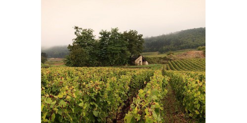 Domaine Leflaive